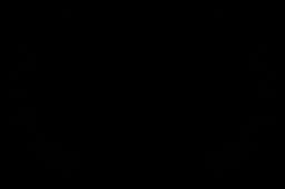 Feature Film Laurel 1